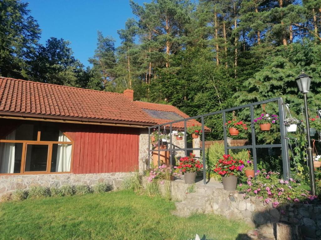 a red shed with flowers in pots in a yard at Silnowo Kwietny Raj in Silnowo