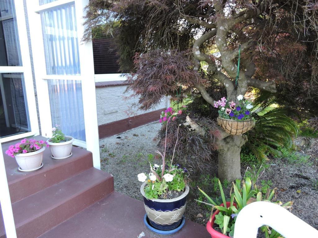 Maple Lodge Motel - Resim 25