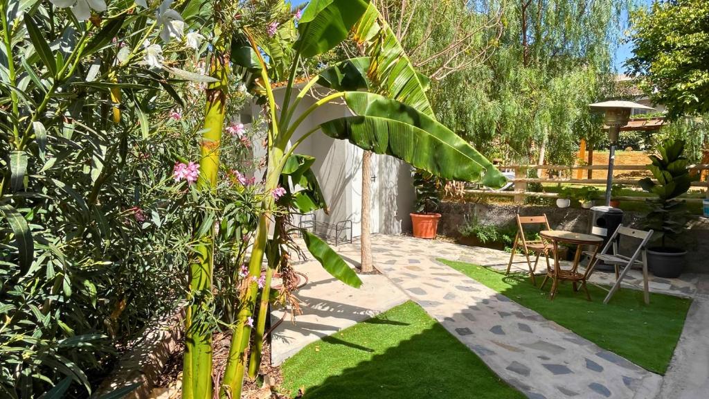 Zahrada ubytování MarketHome Ecolodge Plataneras