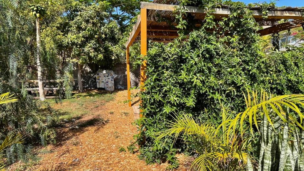 Zahrada ubytování MarketHome Ecolodge Plataneras