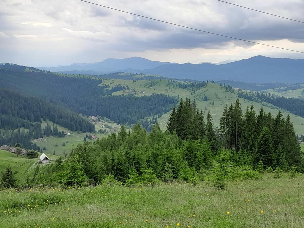 Příroda nedaleko penzionu