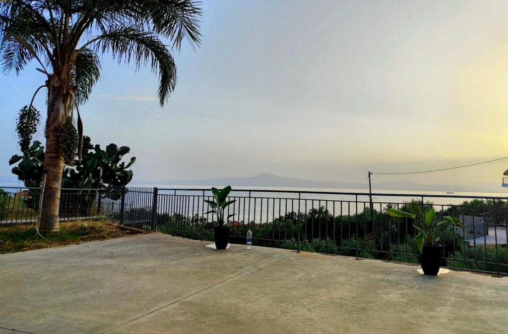 un patio con recinto e palma di HOME LOW Ceiling Verga Sea View a Kalamáta