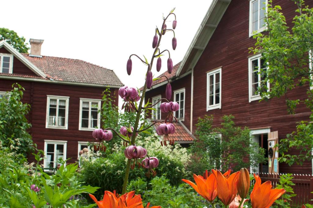 a garden in front of a house with flowers at Hälsingegården Erik-Anders in Söderhamn