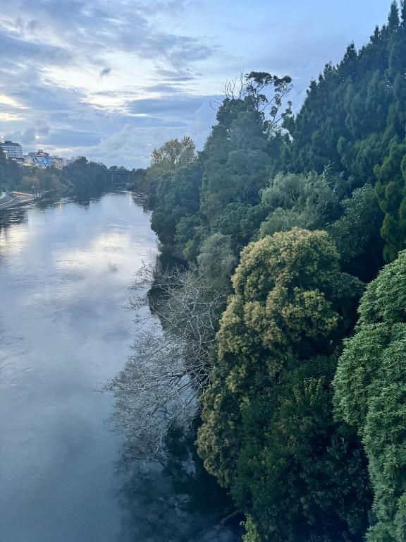 Near the City and Gardens - Resim 2