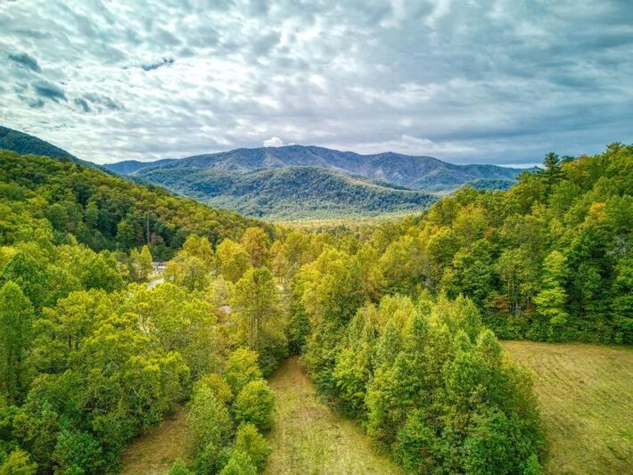 una vista aerea su un bosco di alberi e montagne di Serenity Cottage, Pickleball Court, Creek, WIFI, Mountain Views, Starting at 79" a Cosby
