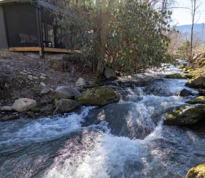 un ruscello d'acqua con rocce di fronte a una casa di Tranquility Cottage, Pickleball Court, Creek, WIFI, Mountain Views, Starting at 79" a Cosby