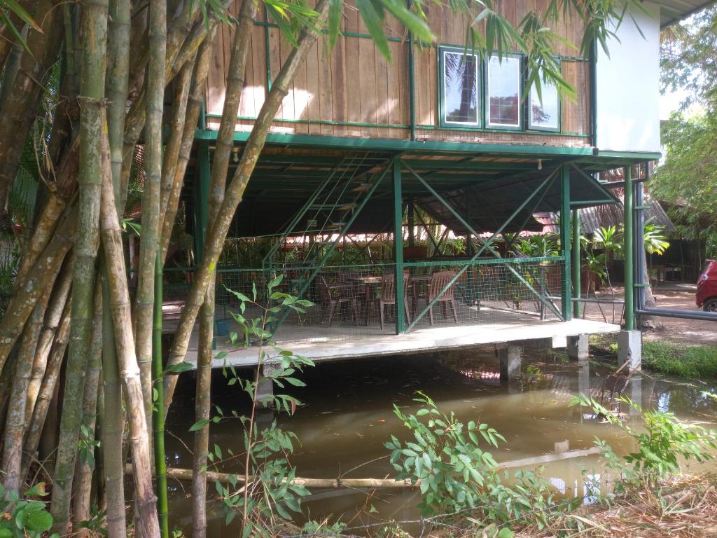 Příroda nedaleko luxury tent