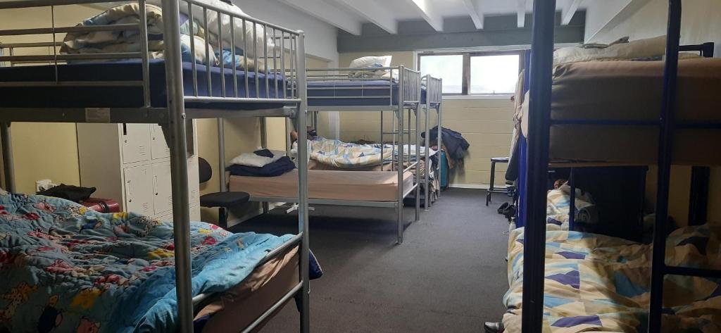 Letto o letti in una camera di Silverfern Backpackers