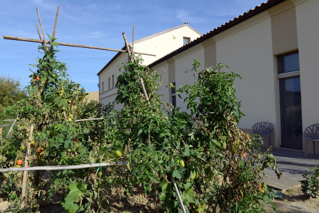 Сад в Resort Il Gallo Senone