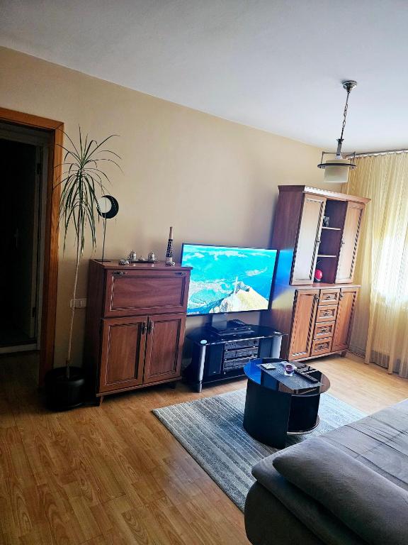 TV a/nebo společenská místnost v ubytování Apartament David Deva - 2 dormitoare & 1 living
