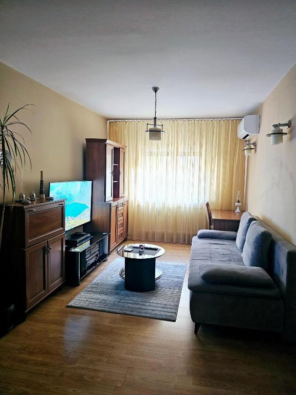TV a/nebo společenská místnost v ubytování Apartament David Deva - 2 dormitoare & 1 living