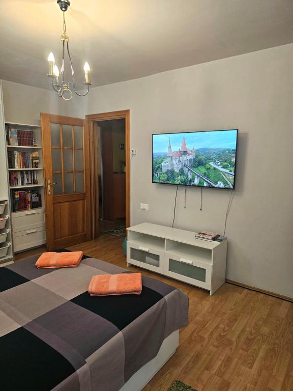 TV a/nebo společenská místnost v ubytování Apartament David Deva - 2 dormitoare & 1 living
