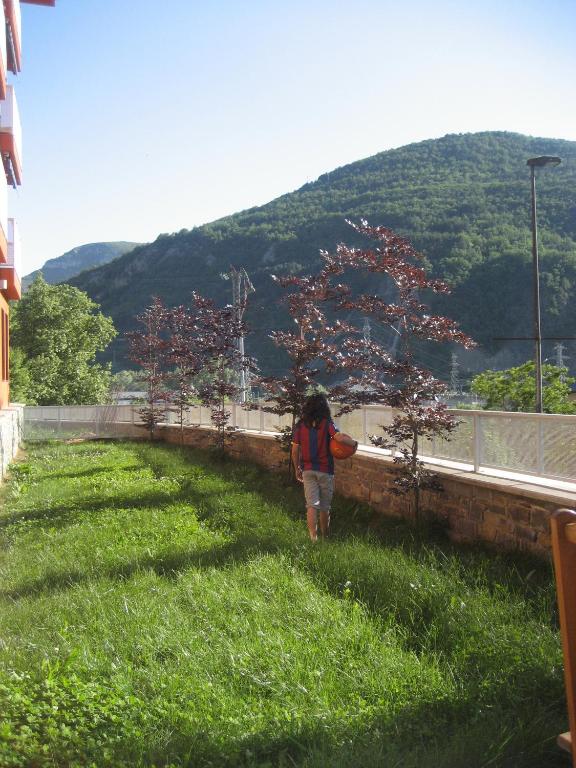 Příroda nedaleko apartmánu