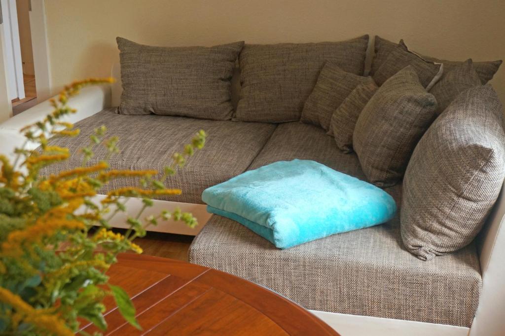 a blue pillow sitting on a couch in a living room at Gästehaus Burgenlandschmiede in Meineweh