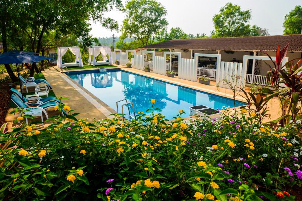 Bazén v ubytování White Wood Resort By Stone Wood Hotels nebo v jeho okolí