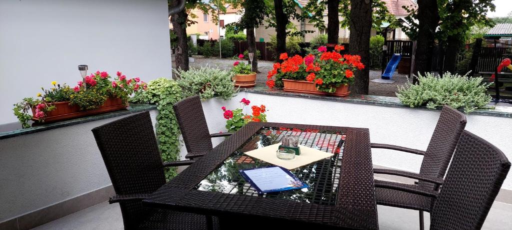 Zahrada ubytování Hotel Svornost