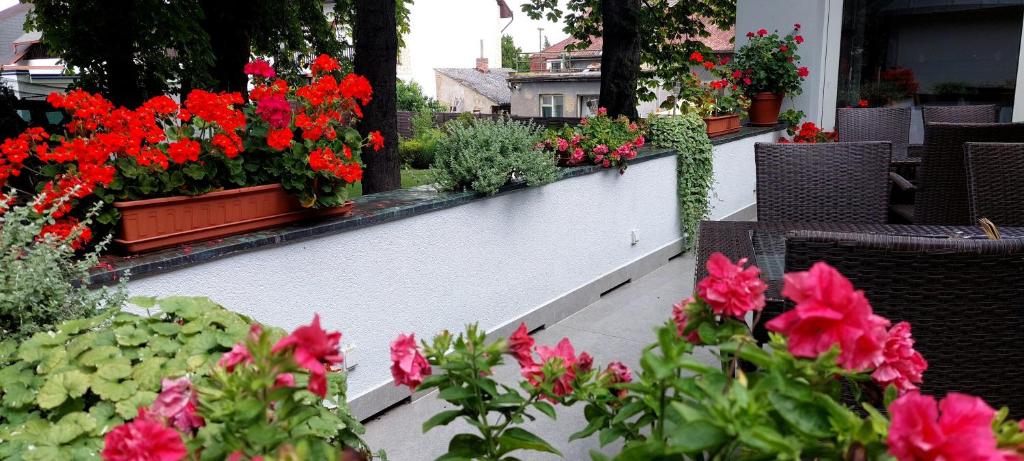 Hotel Svornost - Resim 29