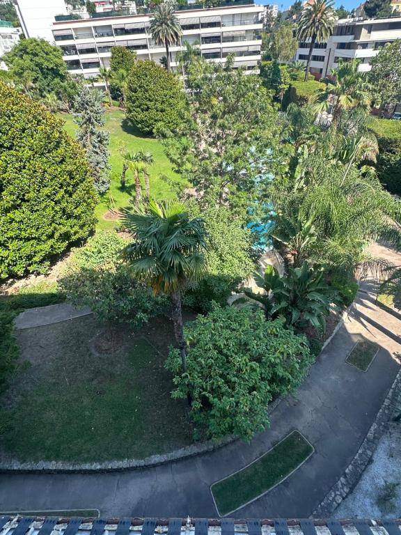 - une vue aérienne sur un jardin planté d'arbres et de buissons dans l'établissement Cannes, à Cannes