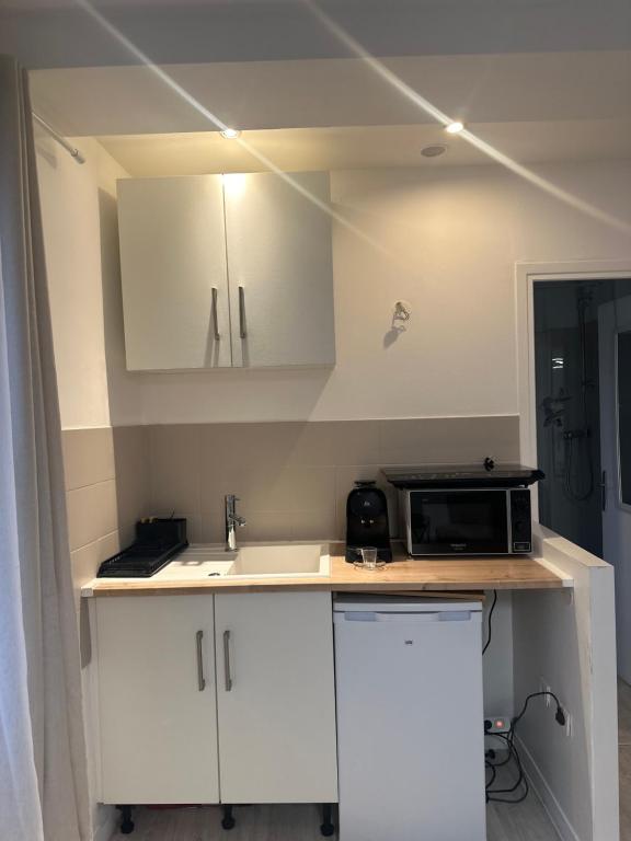 une cuisine avec un évier et un micro-ondes sur un comptoir dans l'établissement Carras, à Nice