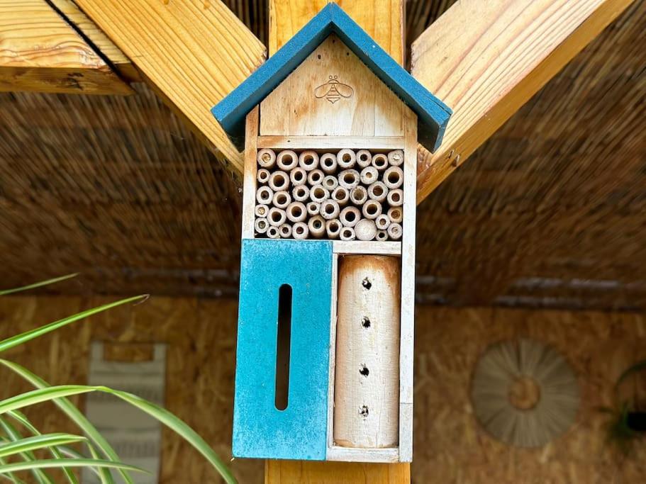 Fotografie z fotogalerie ubytování Home and Garden EuroVelo 6 v destinaci Călăraşi