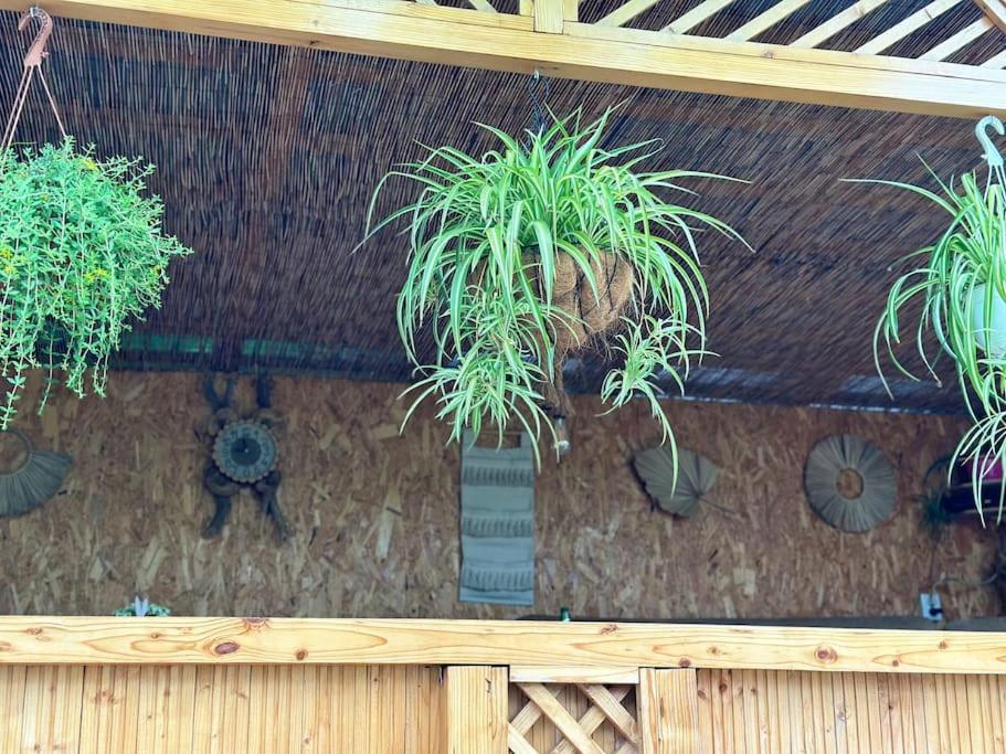 Zahrada ubytování Home and Garden EuroVelo 6