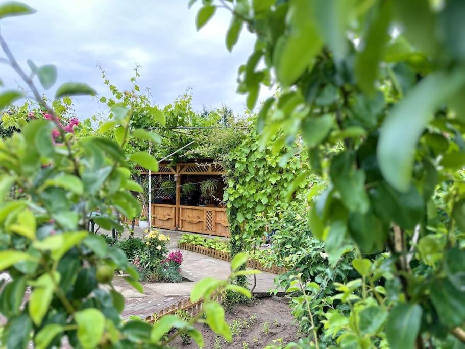 Zahrada ubytování Home and Garden EuroVelo 6
