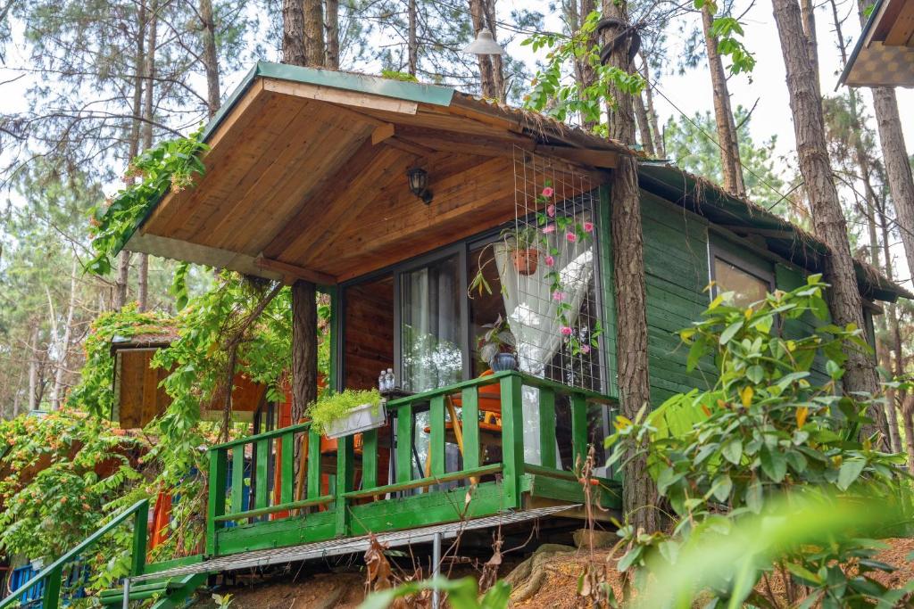 Zahrada ubytování Pine Hill Villas & Camping