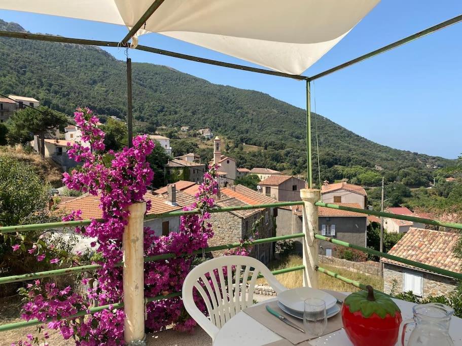 d'une table et d'une chaise sur un balcon avec des fleurs violettes dans l'établissement Appartement avec terrasse et vue mer, à Calcatoggio
