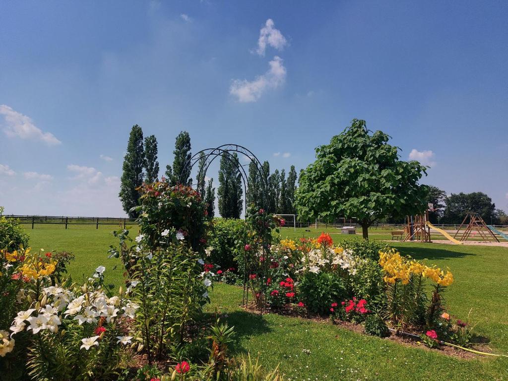 Zahrada ubytování Domaine De Soignolles