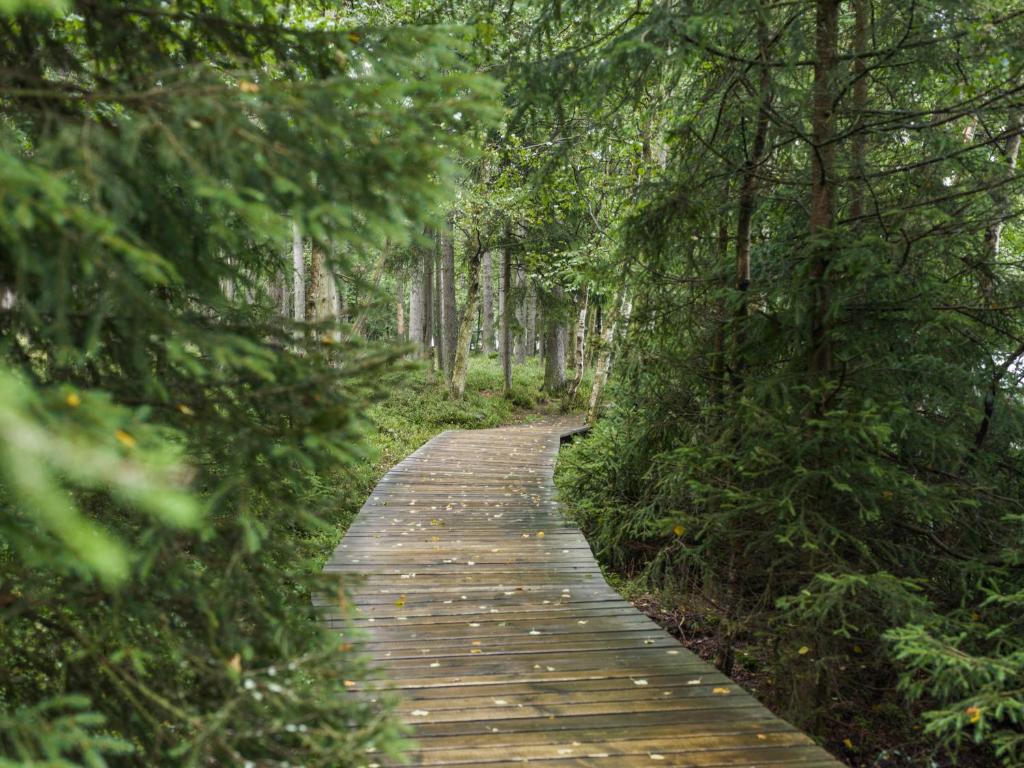 Falkensteiner Spa Resort Marianske Lazne - Resim 39