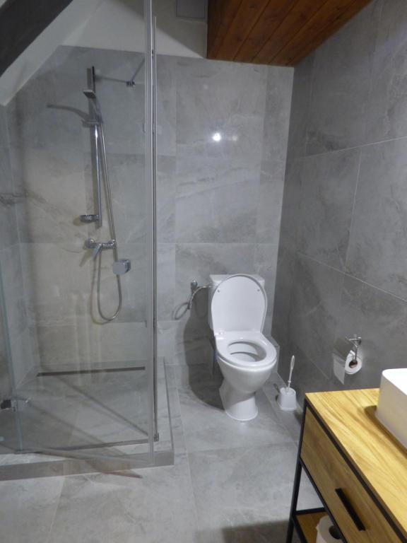 Hotel Svornost - Resim 36