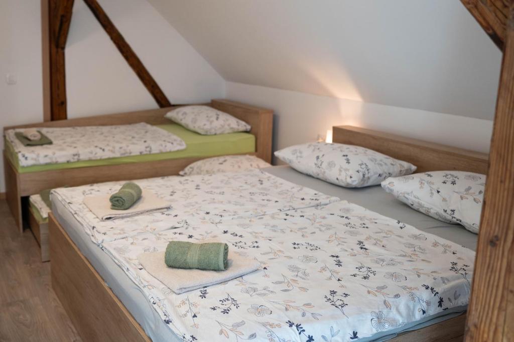 Apartma Sveti Duh - Apartment