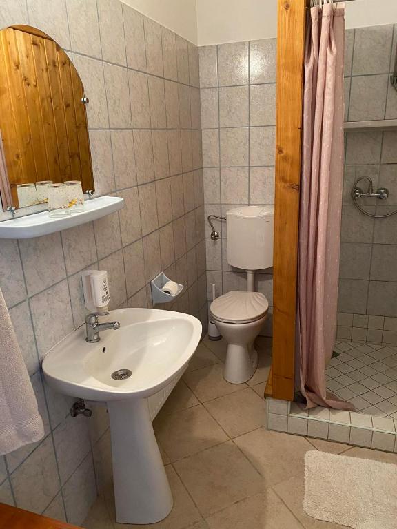 Koupelna v ubytování Brancs Rancs