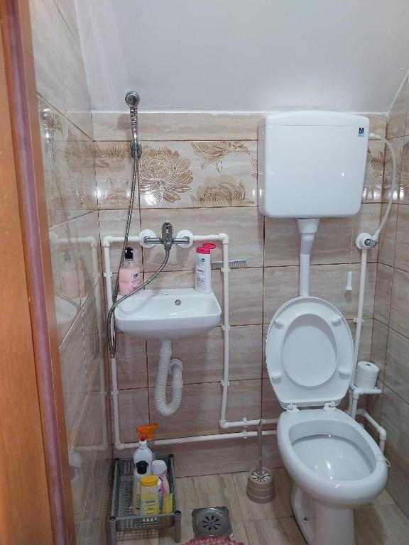 Koupelna v ubytování Vikend kuća Nikolić
