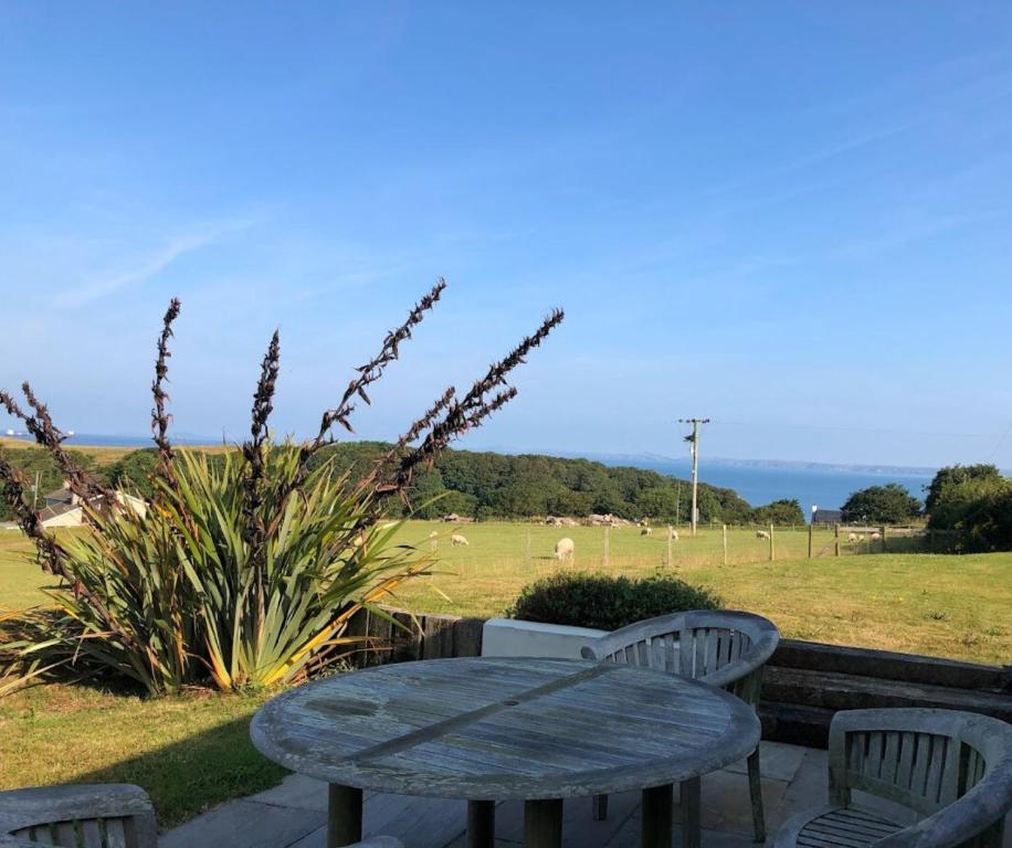 un tavolo e delle sedie e un campo con le pecore di Leet Cottage Little Haven a Little Haven