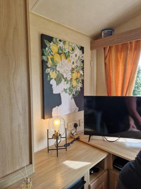 a television sitting on a desk with a vase of flowers at Lochview Retreat Caravan in Balminnoch