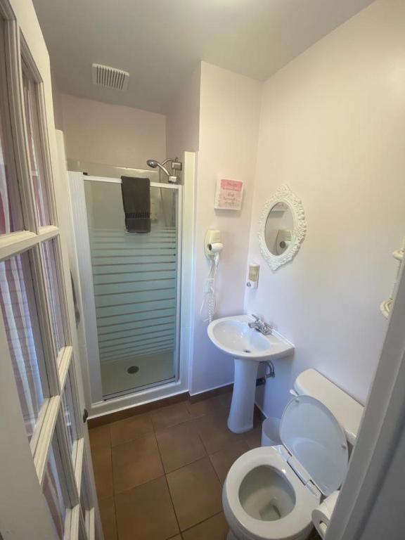 Koupelna v ubytování À Tout Venant B&B