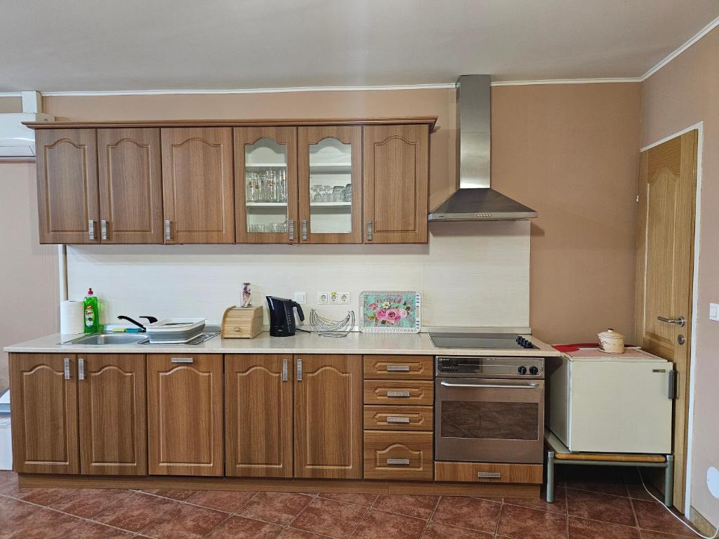 Kuchyň nebo kuchyňský kout v ubytování Apartmani Royal Residence