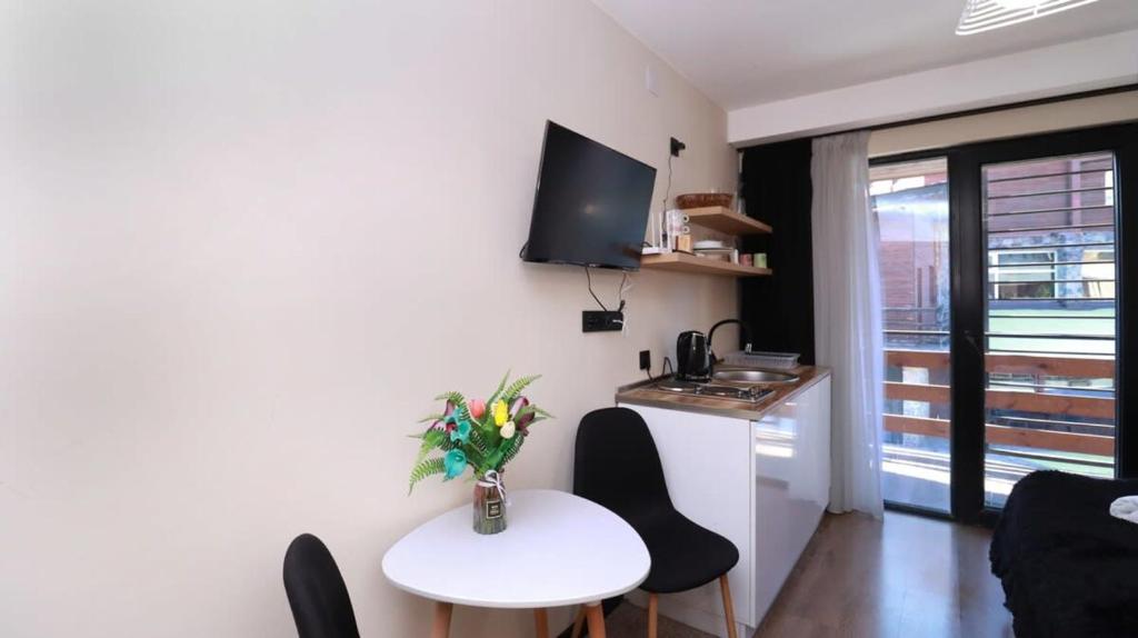 TV a/nebo společenská místnost v ubytování Apartment in Marshall Gudauri Project