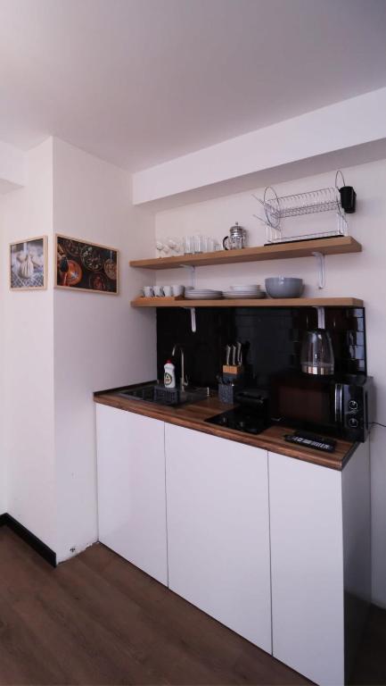 Kuchyň nebo kuchyňský kout v ubytování Bright Apartment in Marshall Gudauri