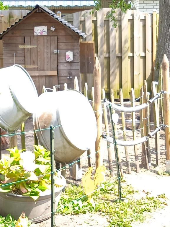 Zahrada ubytování Ferienhaus mit Minibauernhof