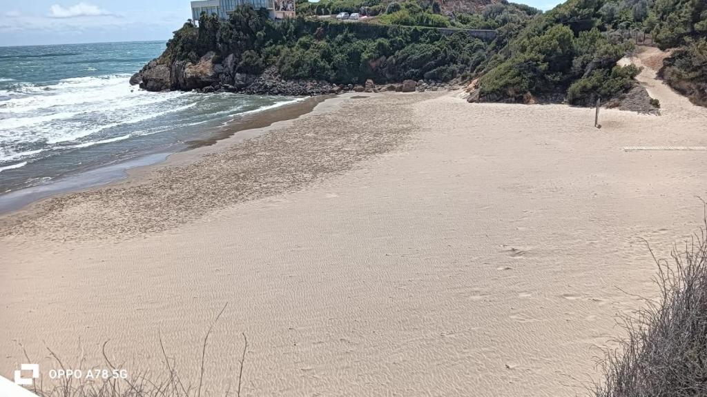a sandy beach next to the ocean with trees at Chalet de la playa in Oropesa del Mar
