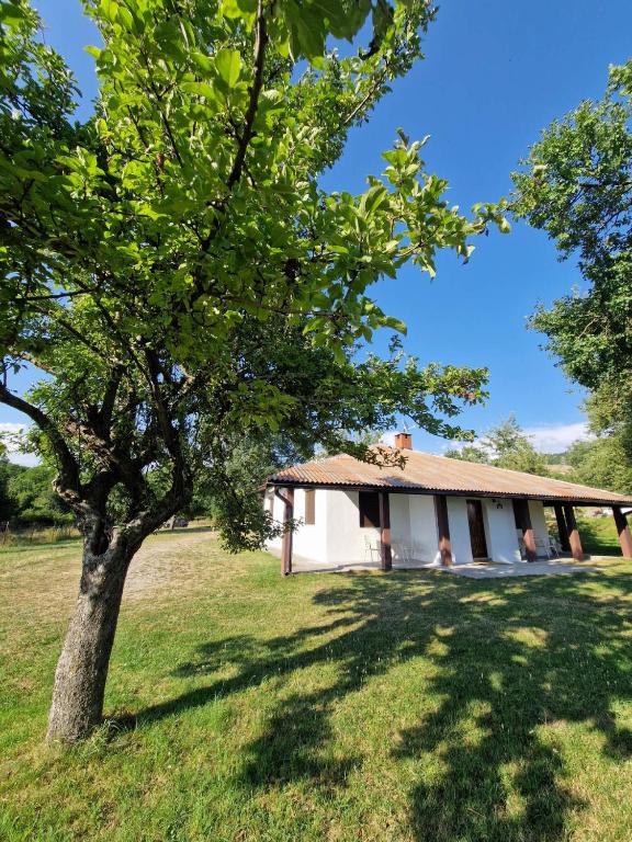 a building with a tree in front of it at Apartmani & Auto kamp GAJ in Gacko