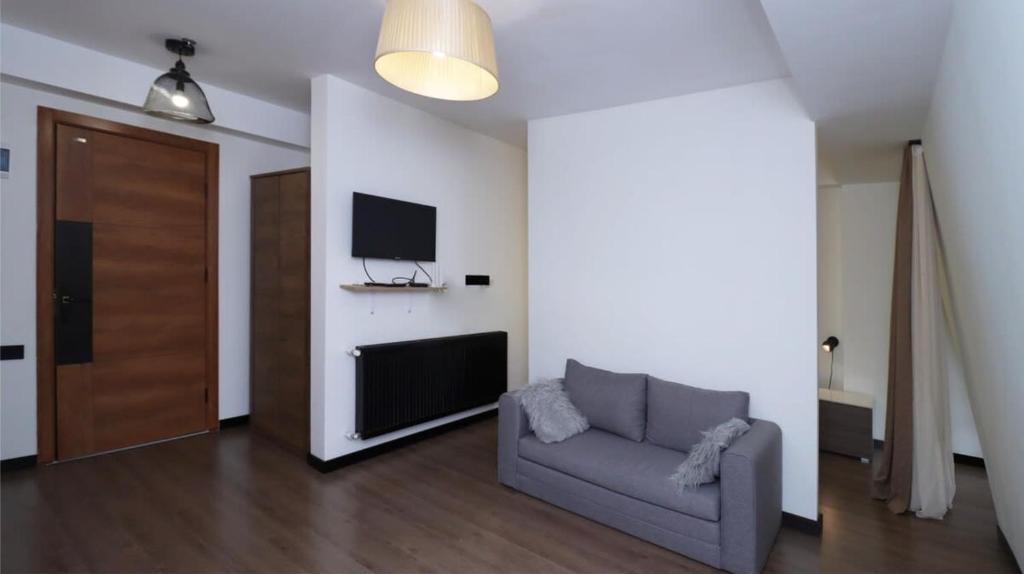 TV a/nebo společenská místnost v ubytování 1BR Apartment for 4 in Marshall Gudauri