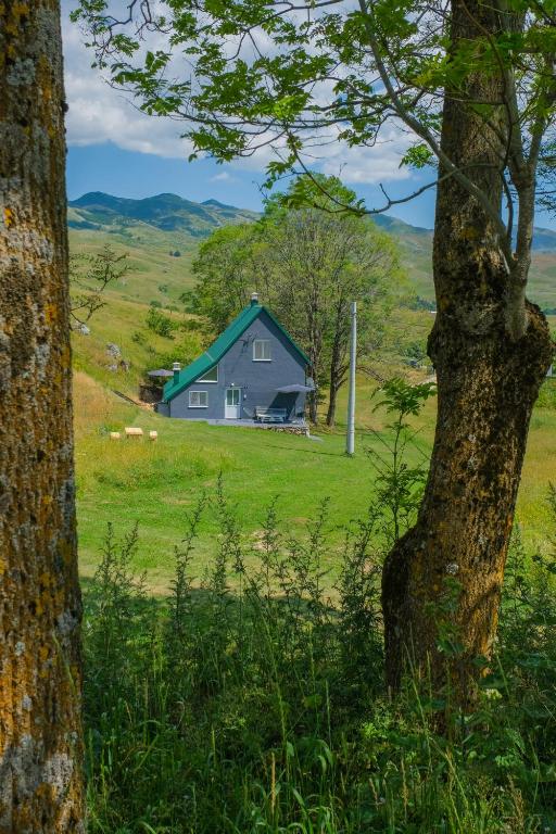 a house in the middle of a field with a tree at 4NORTH Apartment17 in Plužine