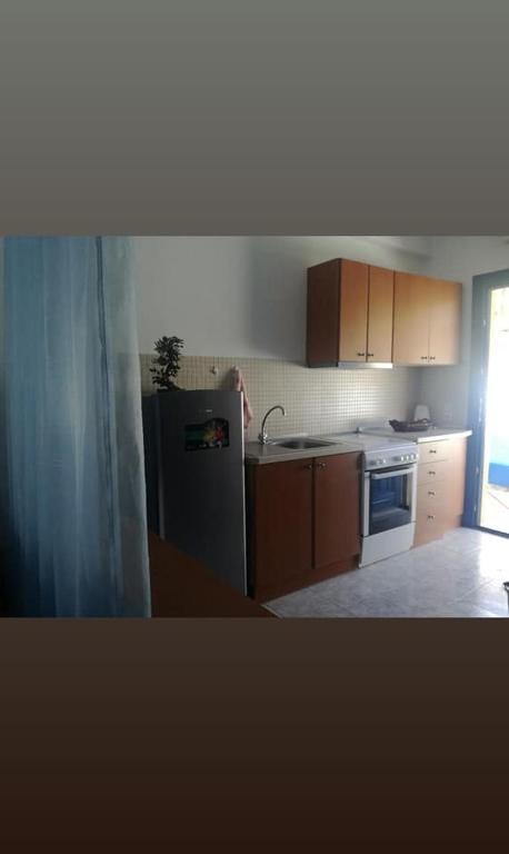 Kuchyň nebo kuchyňský kout v ubytování Studio Poseidon