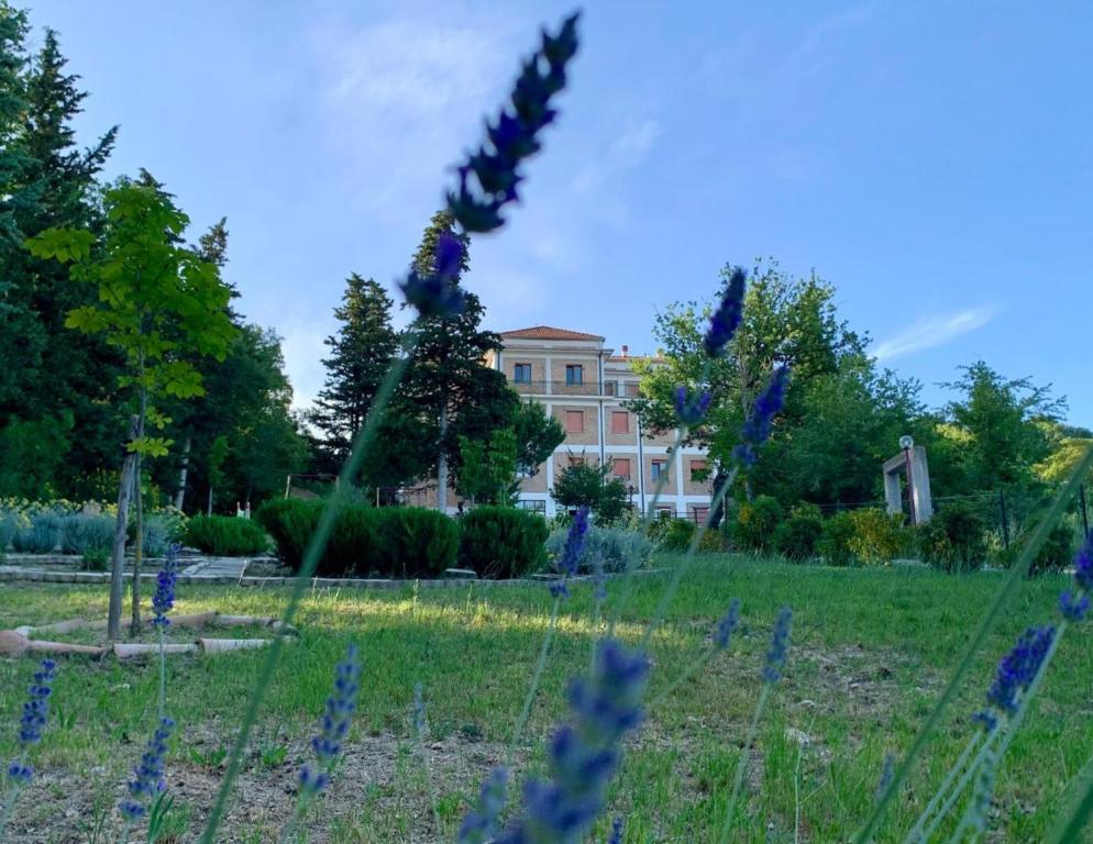 Φωτογραφία από το άλμπουμ του Ostello Il Volto σε Ποτέντσα