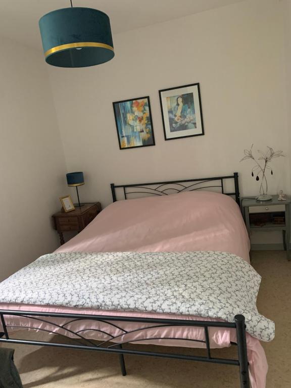 une chambre avec un lit avec une couverture rose dans l'établissement Escale beaunoise, à Beaune