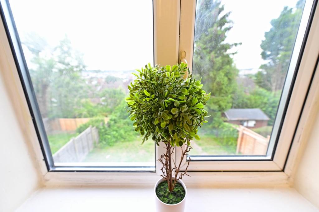 Zahrada ubytování Serenity Luton Suite Near Mall