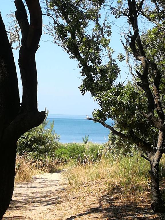 un chemin de terre avec vue sur l'océan dans l'établissement Petite maison agréable à 300 m de la plage, à Dolus-d'Oléron